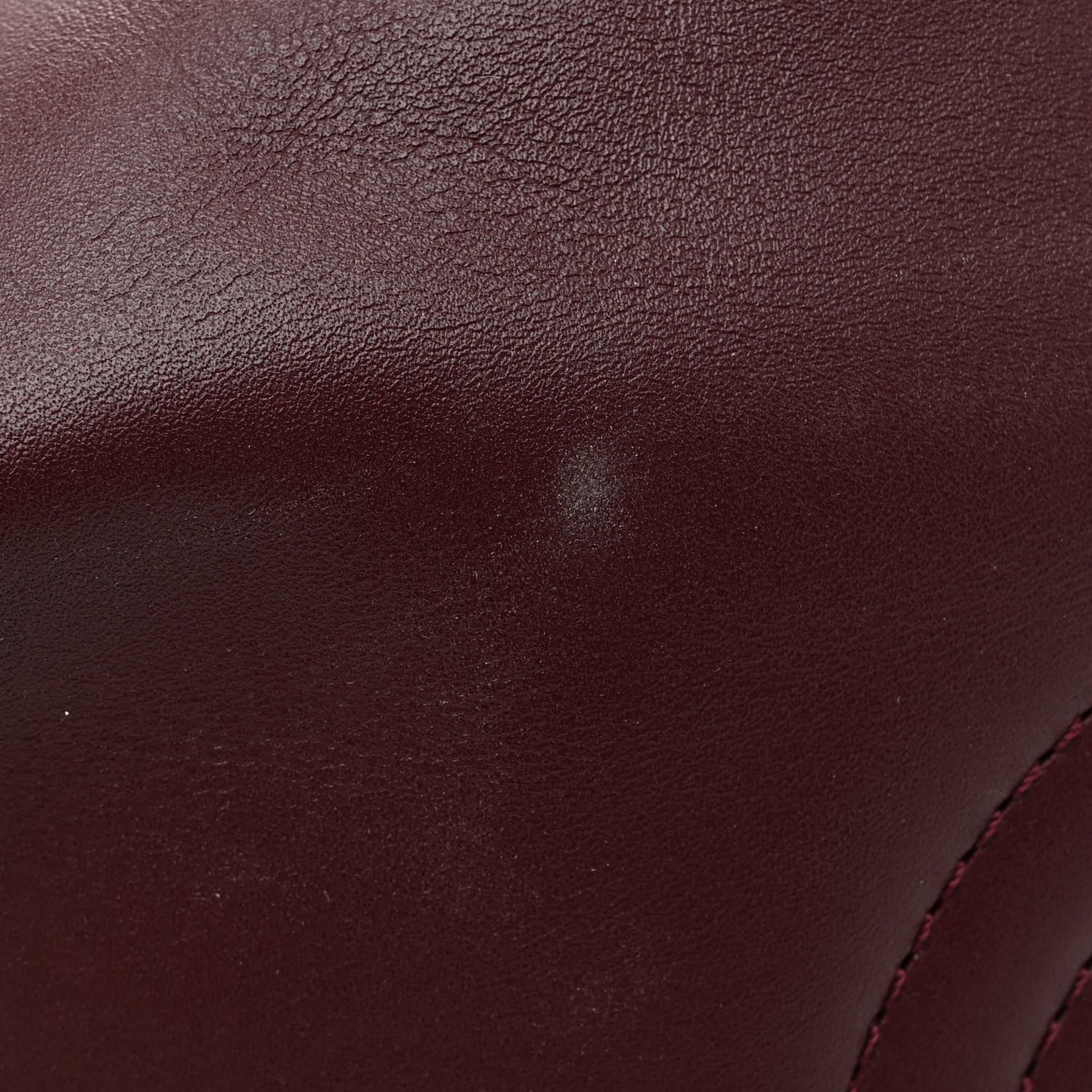 Loewe Shiny Nappa Calfskin Small Paseo Bag Burgundy 10 of 11