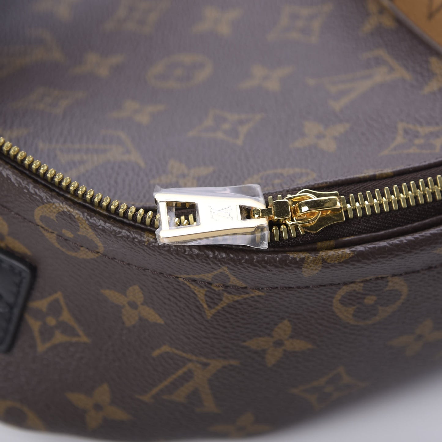 Reverse Monogram Palm Springs Backpack PM