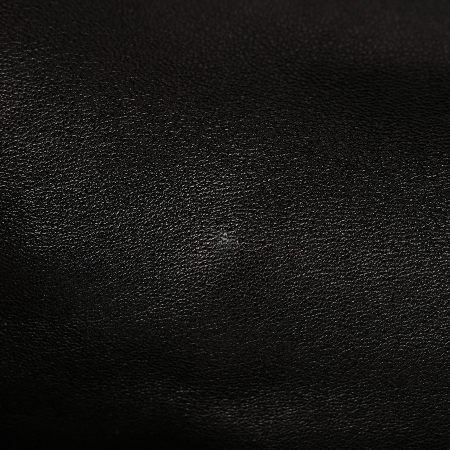 Lambskin Quilted Medium Chanel 19 Flap Black