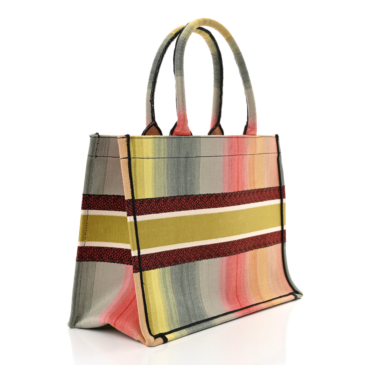 Canvas Embroidered Medium Dioraura Book Tote Multicolor