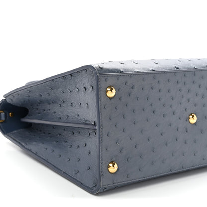 Christian Dior Ostrich Large St. Honore Tote Dark Denim 8 of 9