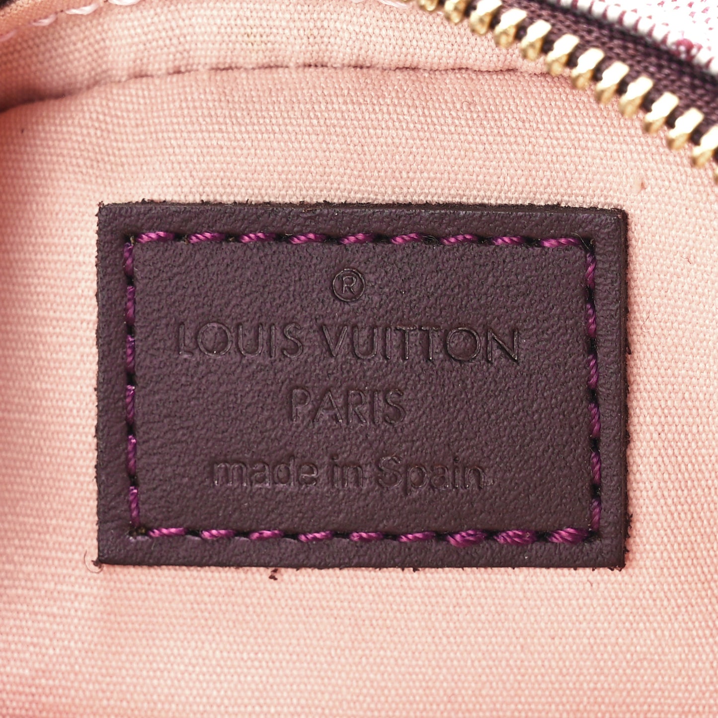 Mini Monogram Camera Bag Cherry