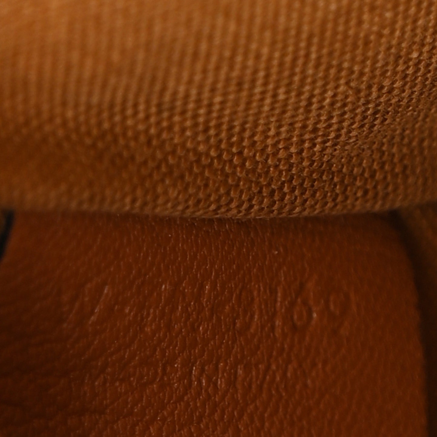 Triomphe Canvas Lambskin Small Pouch Tan