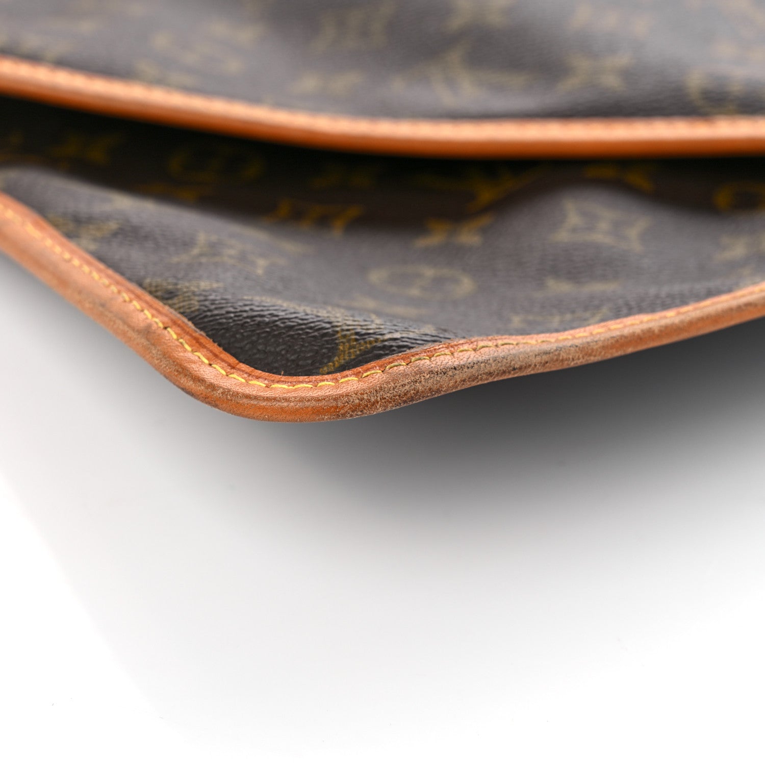 Louis Vuitton Monogram Garment Cover 10 of 14