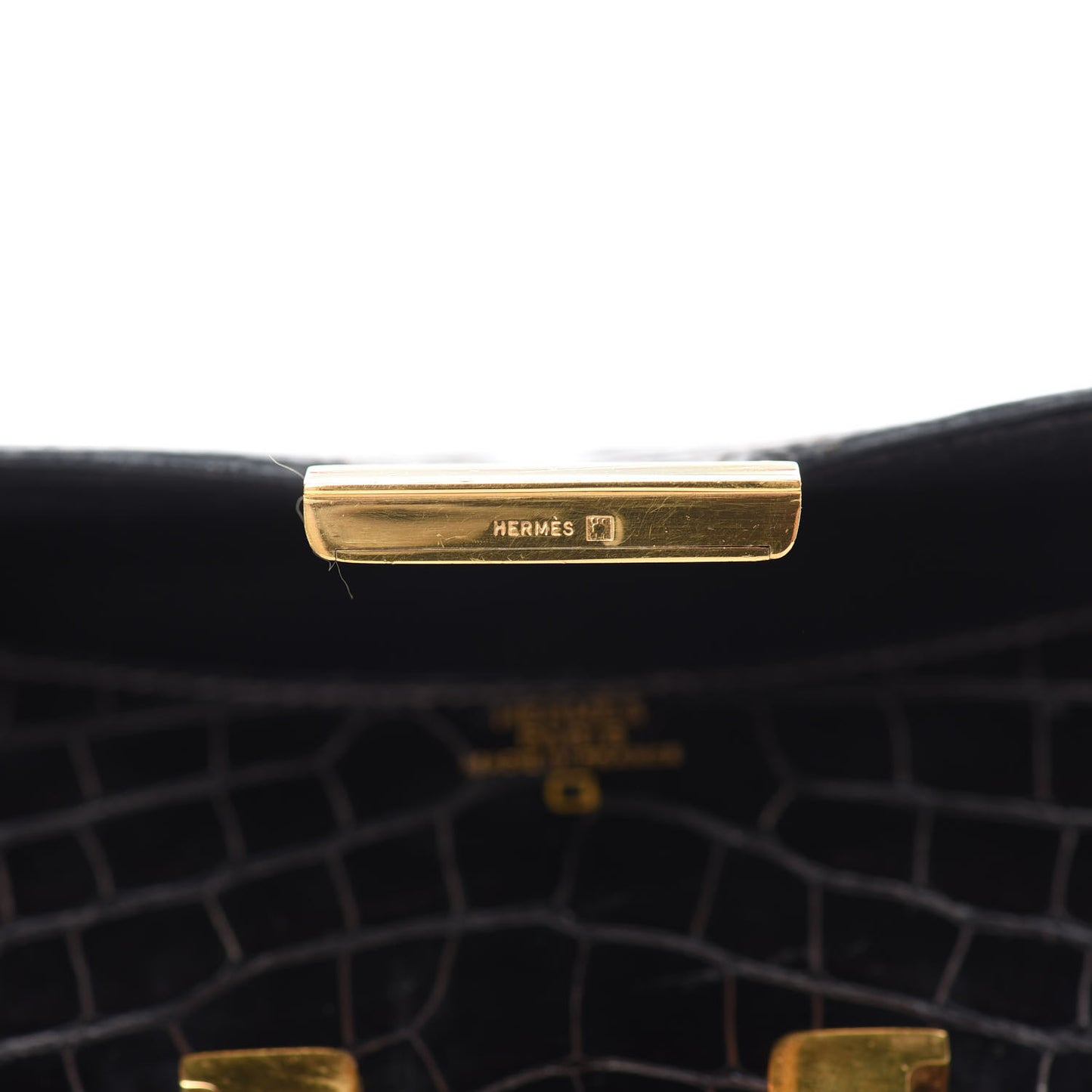 Shiny Alligator Micro Constance 14 Ebene