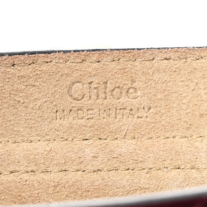 Chloe Suede Calfskin Braided Mini Hudson Shoulder Bag Sienna Red 6 of 10