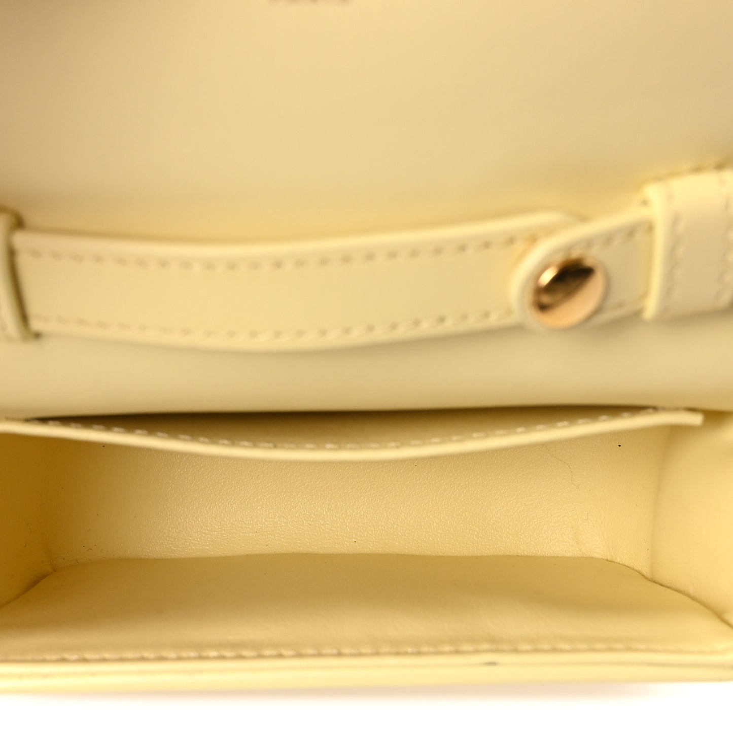 Shiny Calfskin Mini Claude Pollen