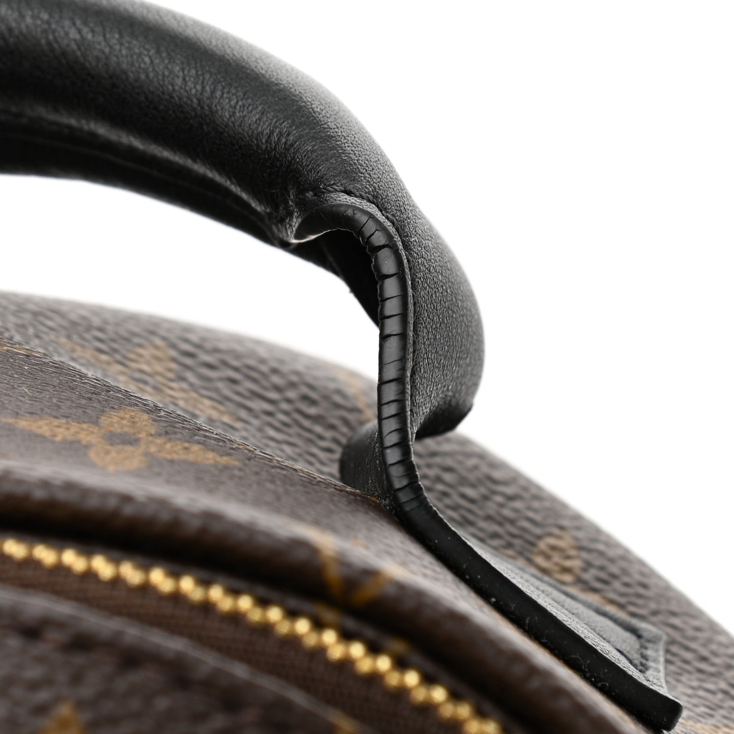 Monogram Palm Springs Backpack PM
