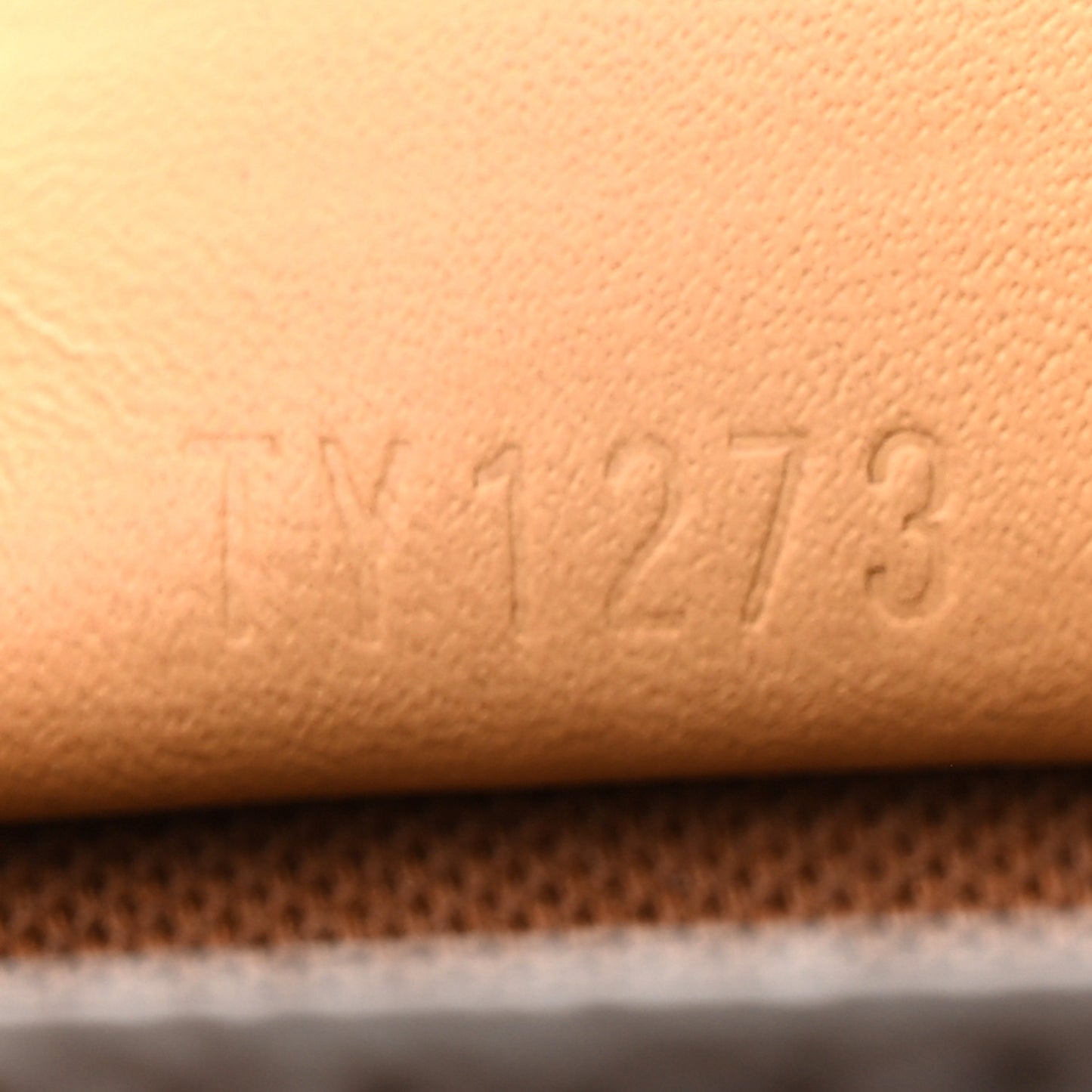 Monogram Nano Speedy Bandouliere