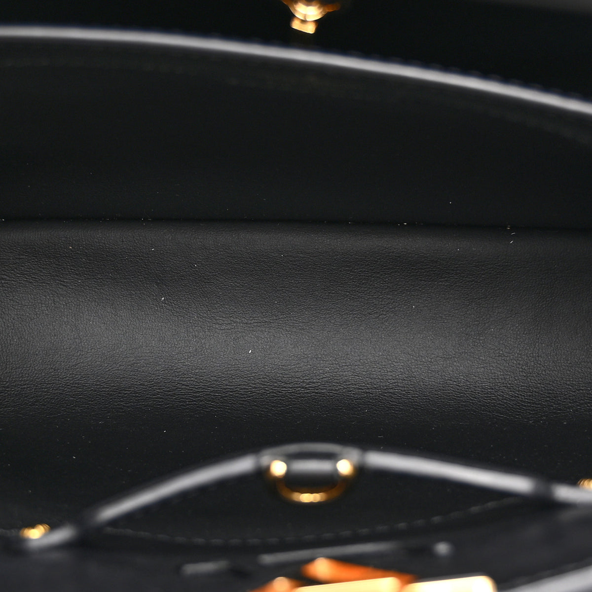 Calfskin Since 1854 Embroidered Capucines PM Black