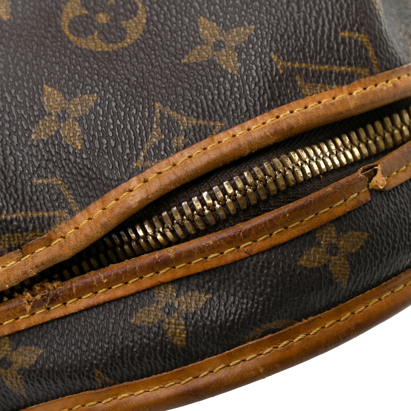 Monogram Sac Chien 40 Pet Carrier