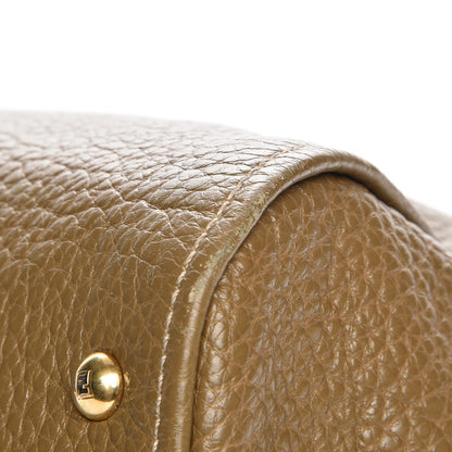 Fendi Pebbled Calfskin Large Chameleon Tote Brown 11 of 13