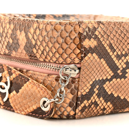 Chanel Snakeskin Mini Shoulder Bag Beige 10 of 13