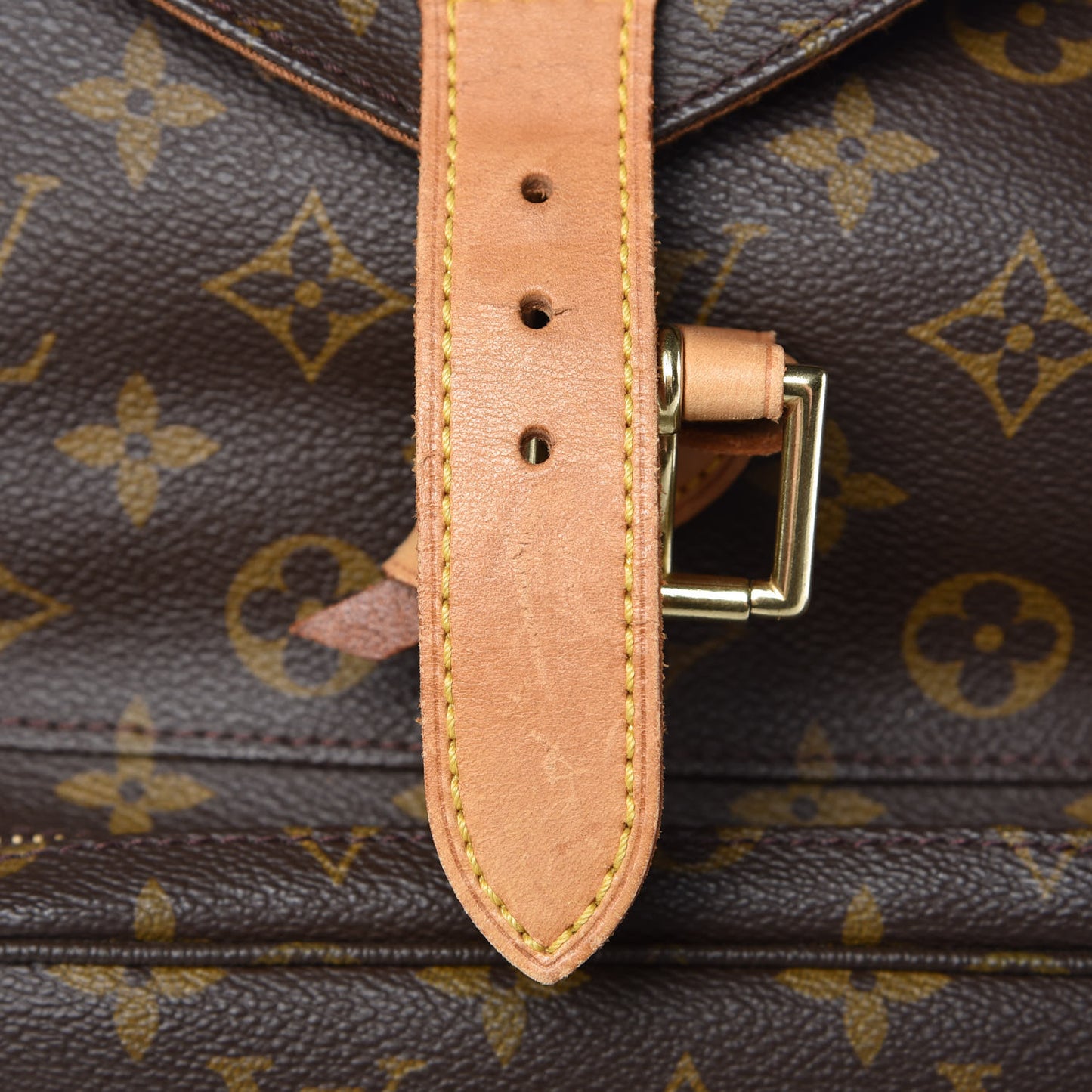 Monogram Montsouris GM Backpack