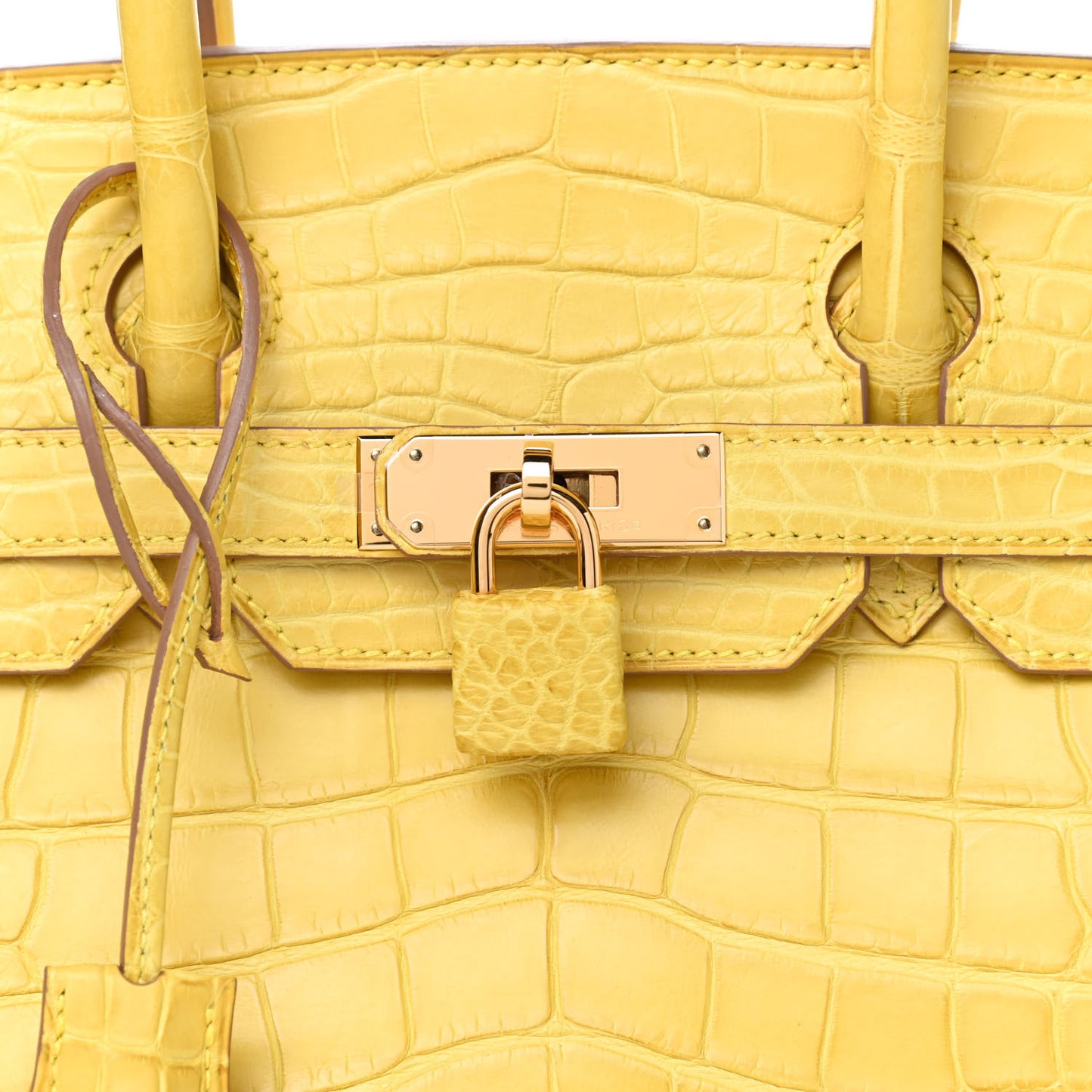 Matte Alligator Birkin 30 Mimosa