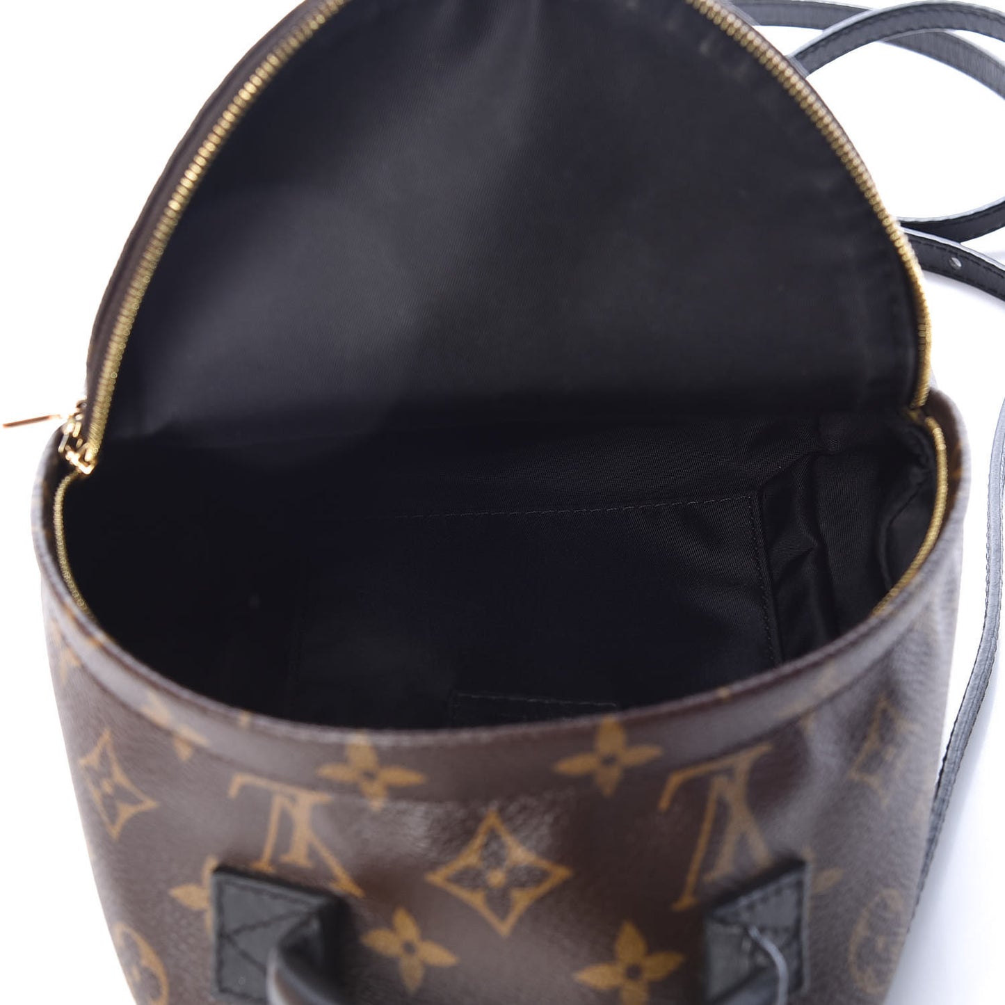 Monogram Palm Springs Backpack Mini