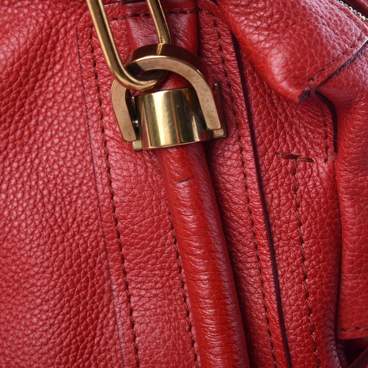 Calfskin Medium Paraty Holly Berry