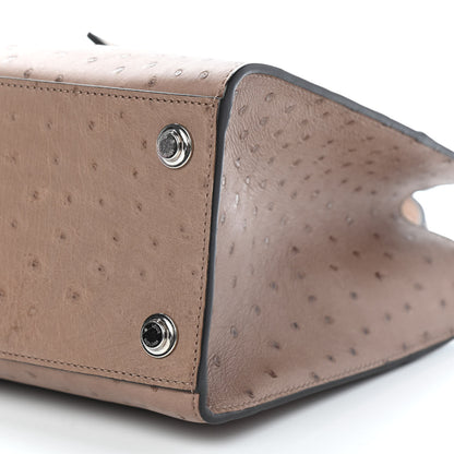 Louis Vuitton Ostrich City Steamer PM Gris 8 of 8