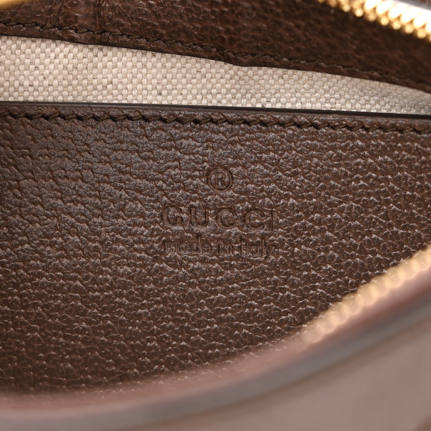 GG Supreme Monogram Textured Dollar Calfskin Small Ophidia Hobo Beige Ebony New Acero