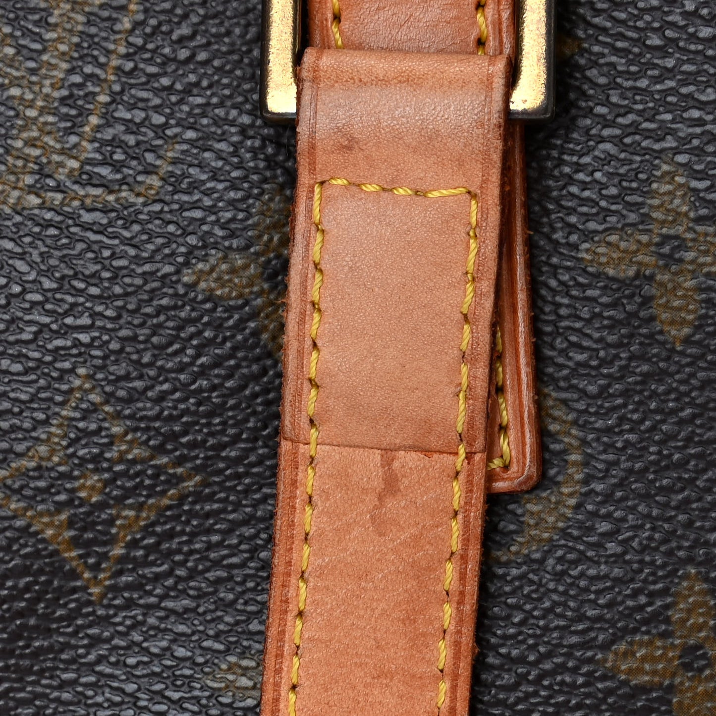 Monogram Cabas Mezzo