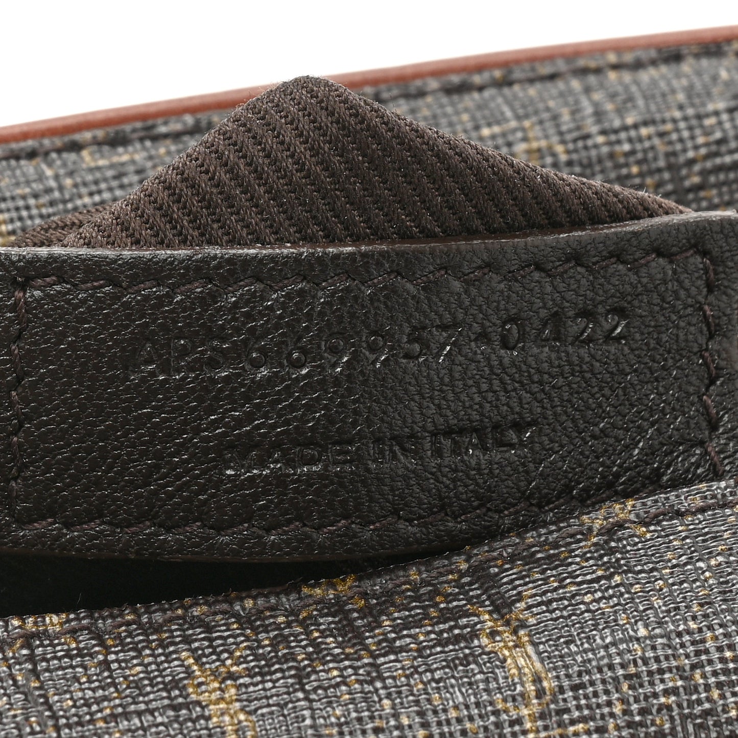 Canvas Smooth Calfskin Le Monogramme Camera Bag Chestnut