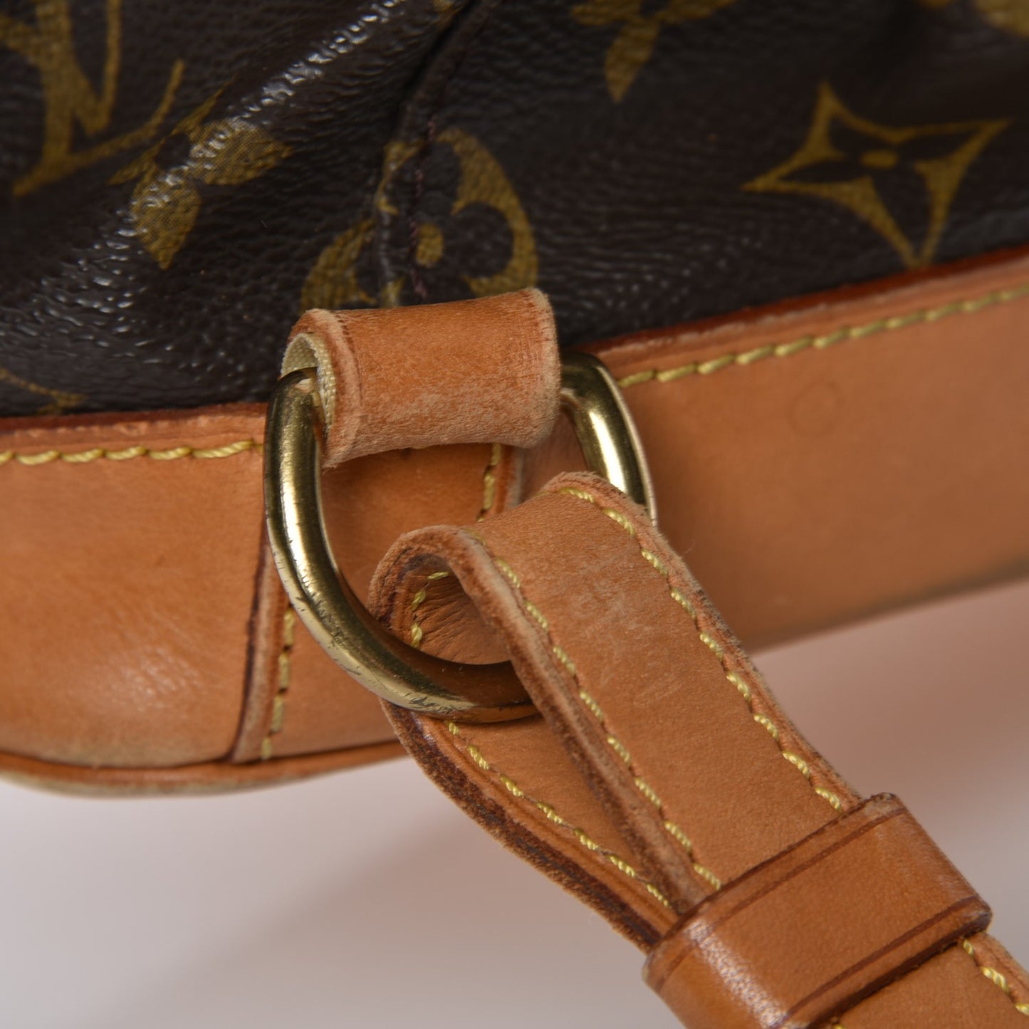Monogram Montsouris GM Backpack