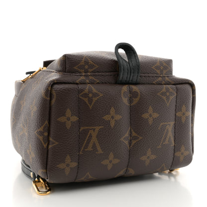 Louis Vuitton Monogram Palm Springs Backpack Mini 4 of 13