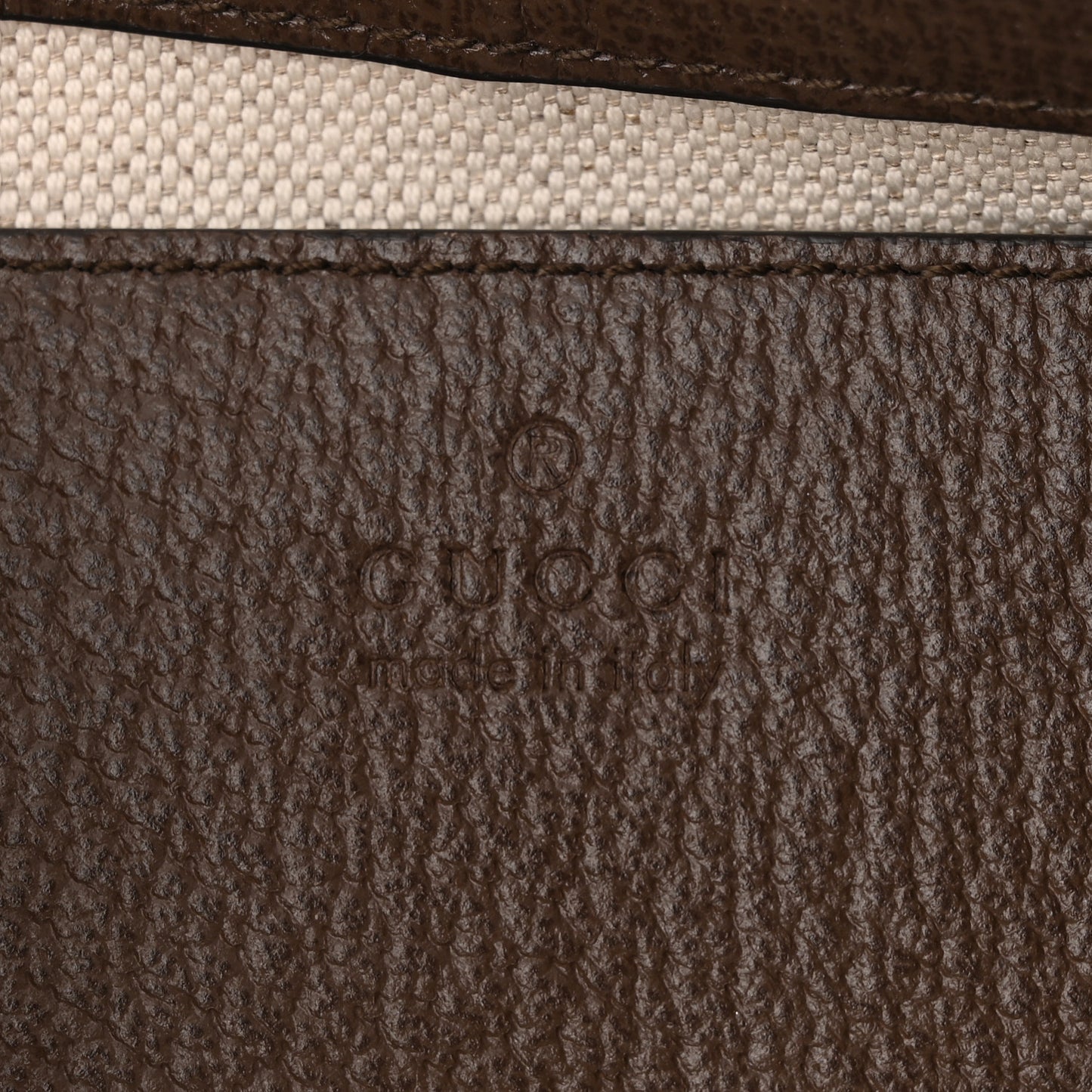 GG Supreme Monogram Textured Dollar Calfskin Web Small Ophidia GG Handbag Beige Ebony New Acero