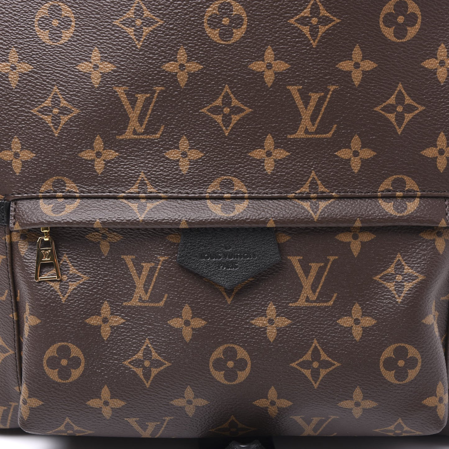 Monogram Palm Springs Backpack MM