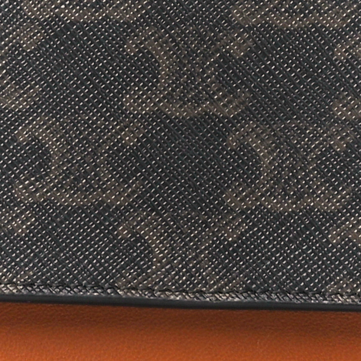 Celine Triomphe Canvas Lambskin Wallet On Strap Tan 10 of 14