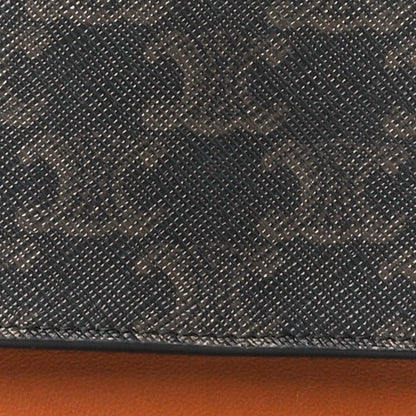 Celine Triomphe Canvas Lambskin Wallet On Strap Tan 10 of 14