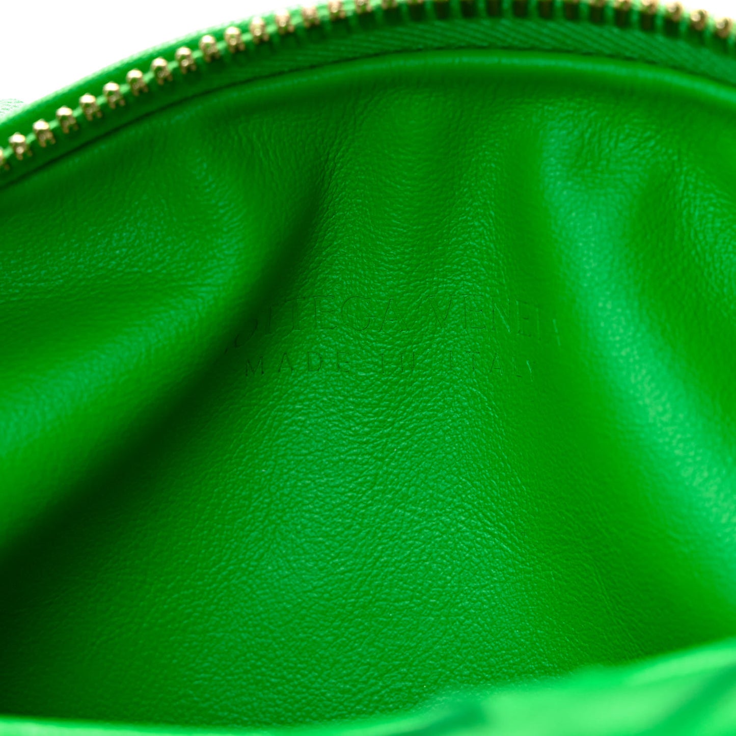 Nappa Intrecciato Mini Jodie Parakeet