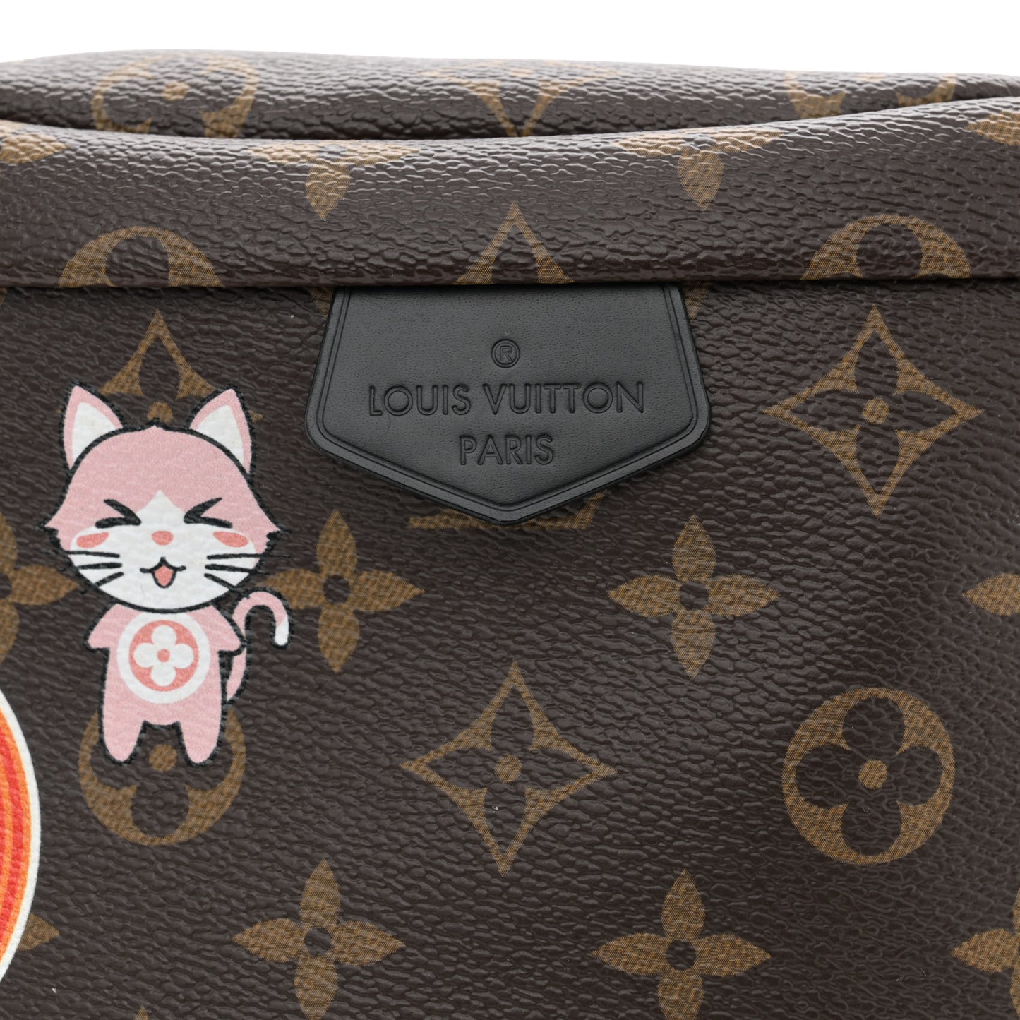 Monogram My LV World Tour Bumbag