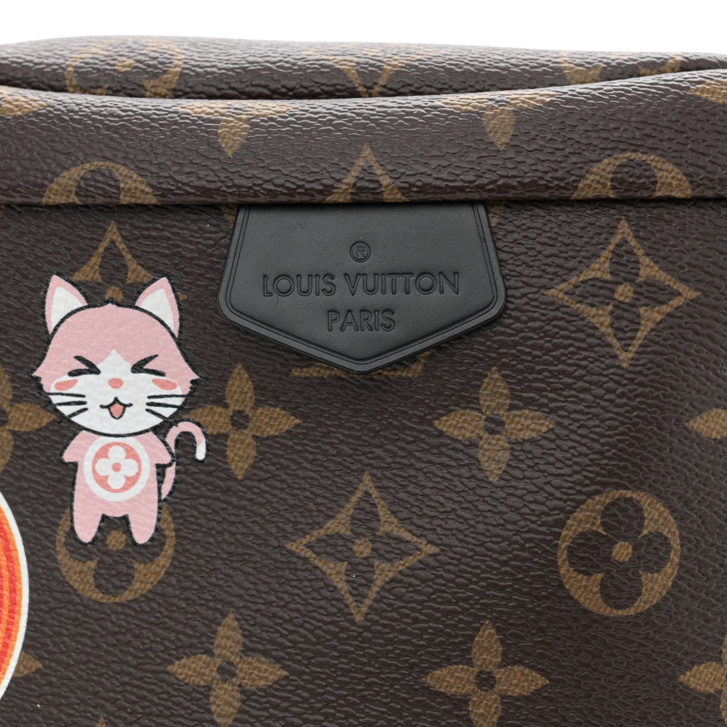 Louis Vuitton Monogram My LV World Tour Bumbag 7 of 10