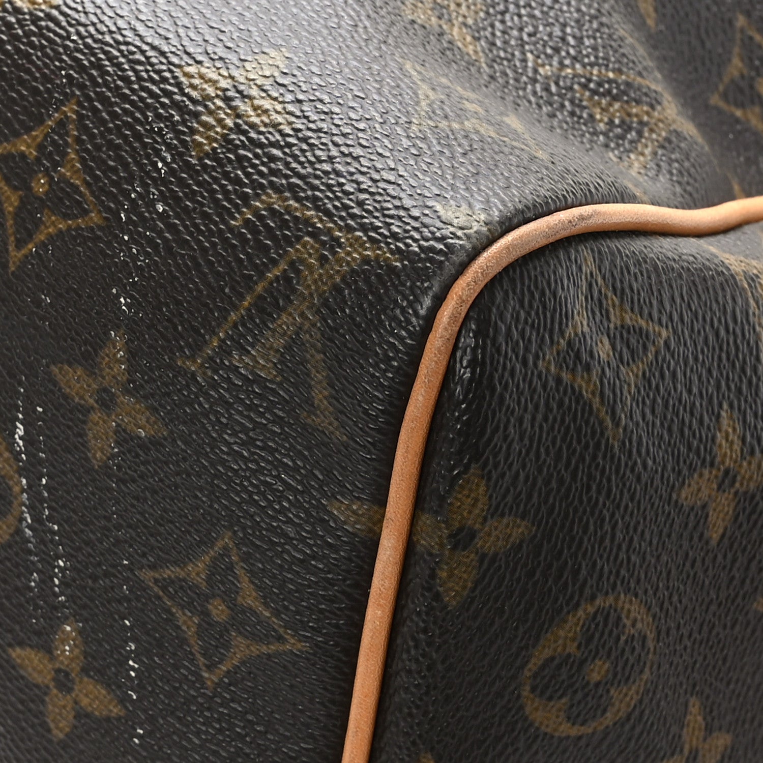 Louis Vuitton Monogram Sofia Coppola Speedy 11 of 11