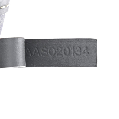 Goyard Goyardine Saint Louis PM Grey 9 of 12