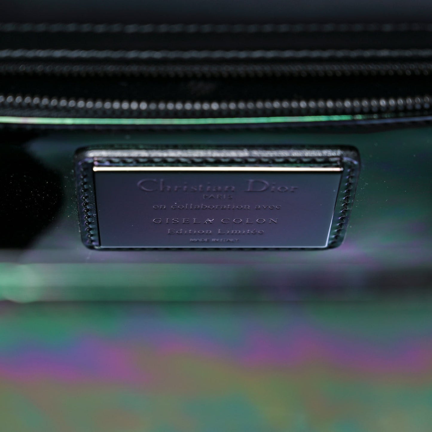 Metallic Iridescent Calfskin Amazonia Gisela Colon Large Art Lady Dior Multicolor
