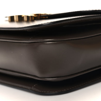 Celine Shiny Calfskin Medium Triomphe Ecorce 11 of 11