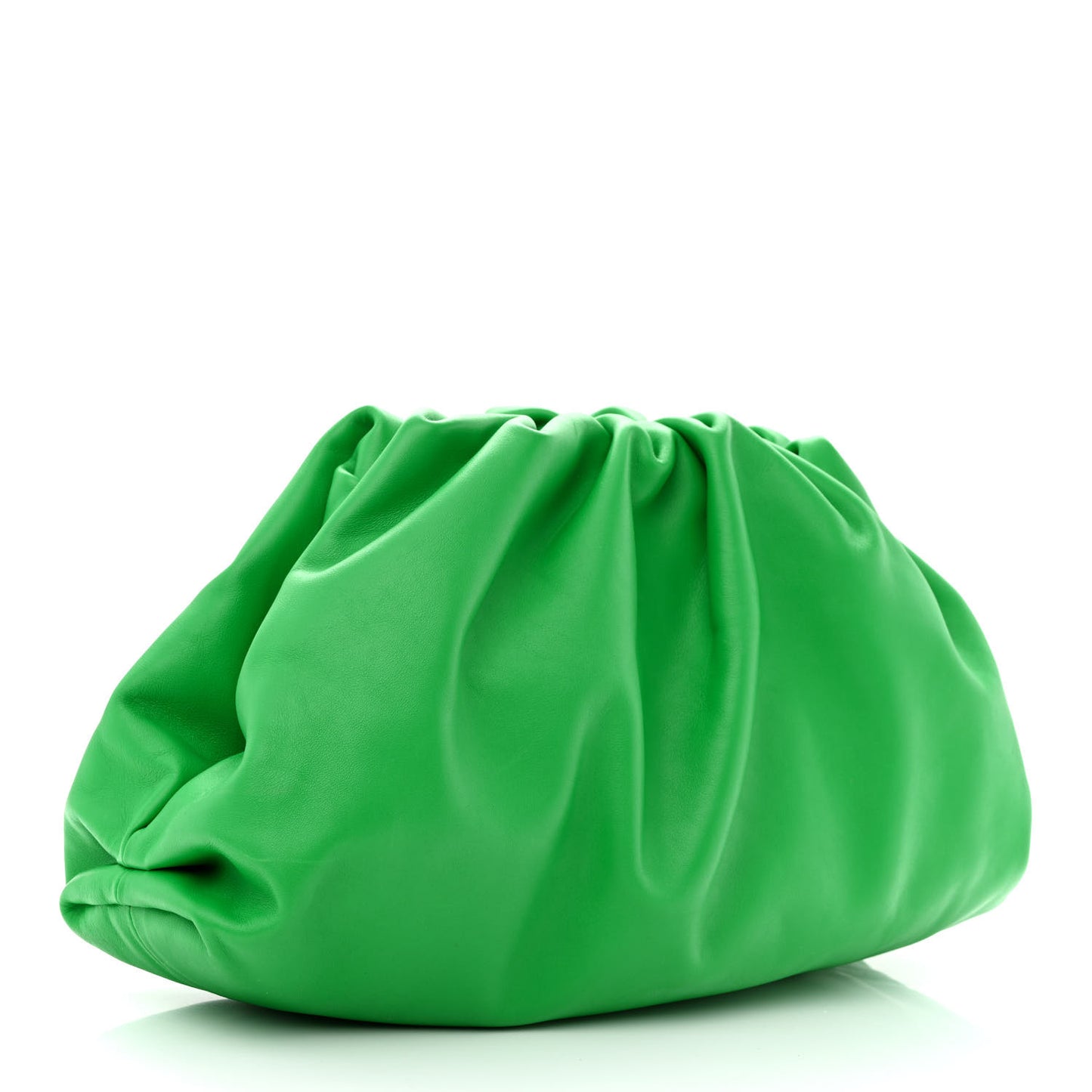 Calf The Pouch Oversized Clutch Parakeet