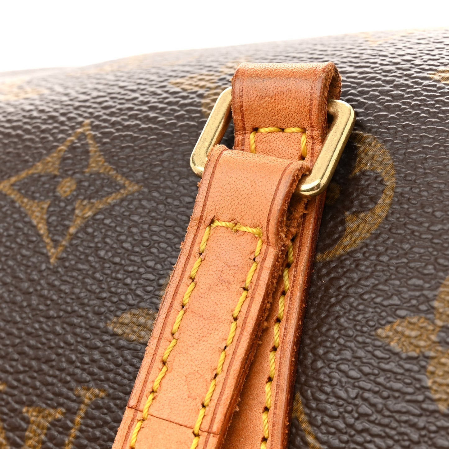 Monogram Papillon 30 with Companion