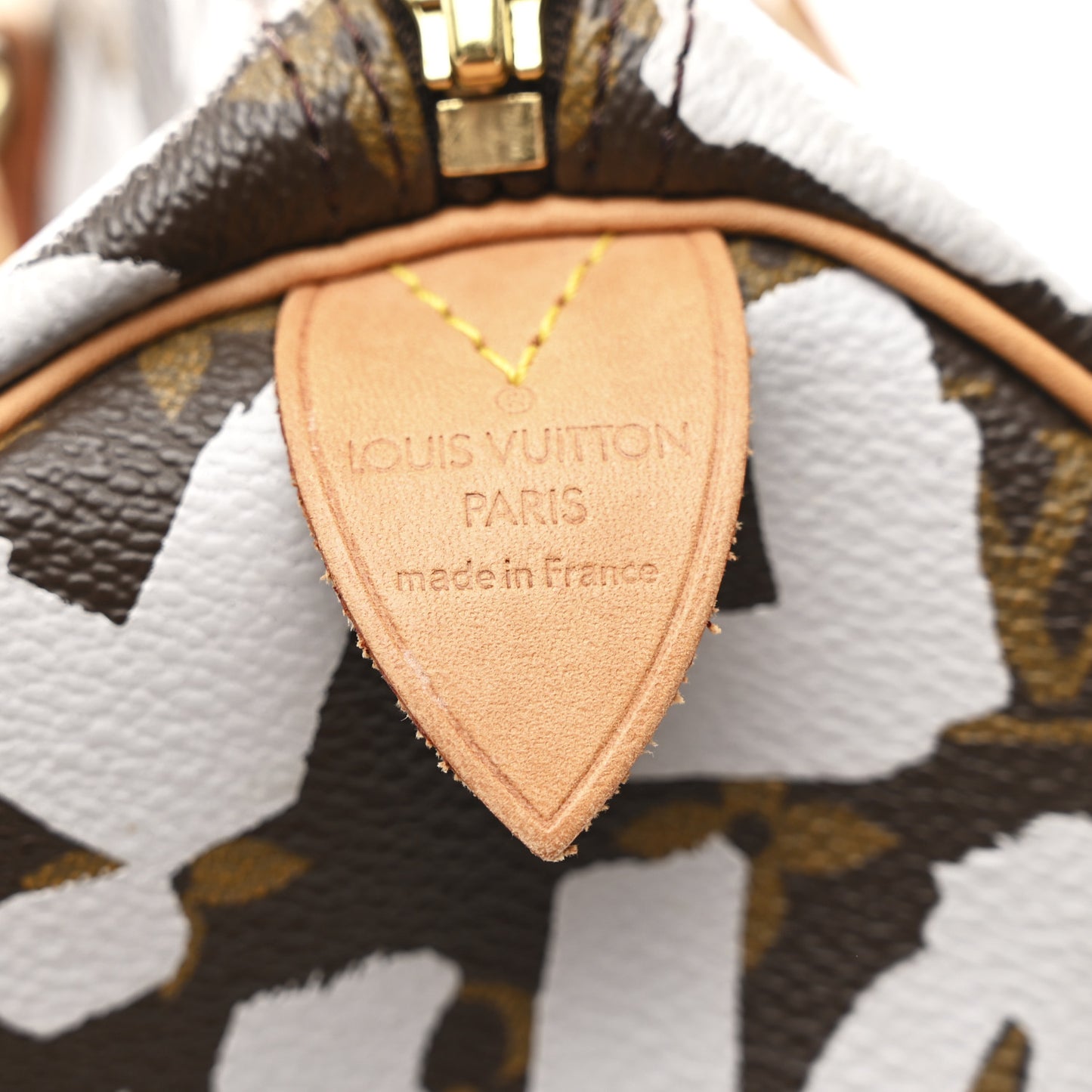 Monogram Graffiti Speedy 30 Silver