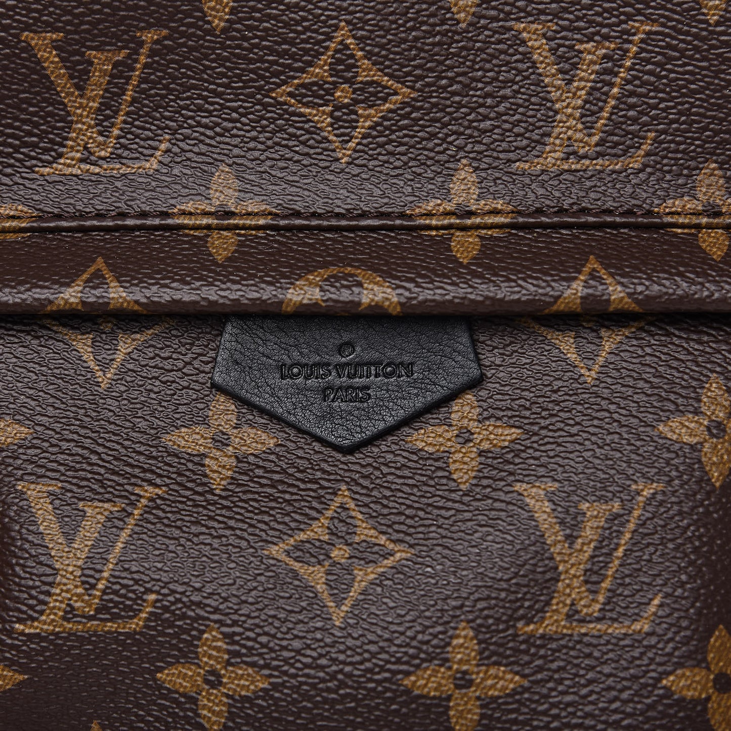 Monogram Palm Springs Backpack PM