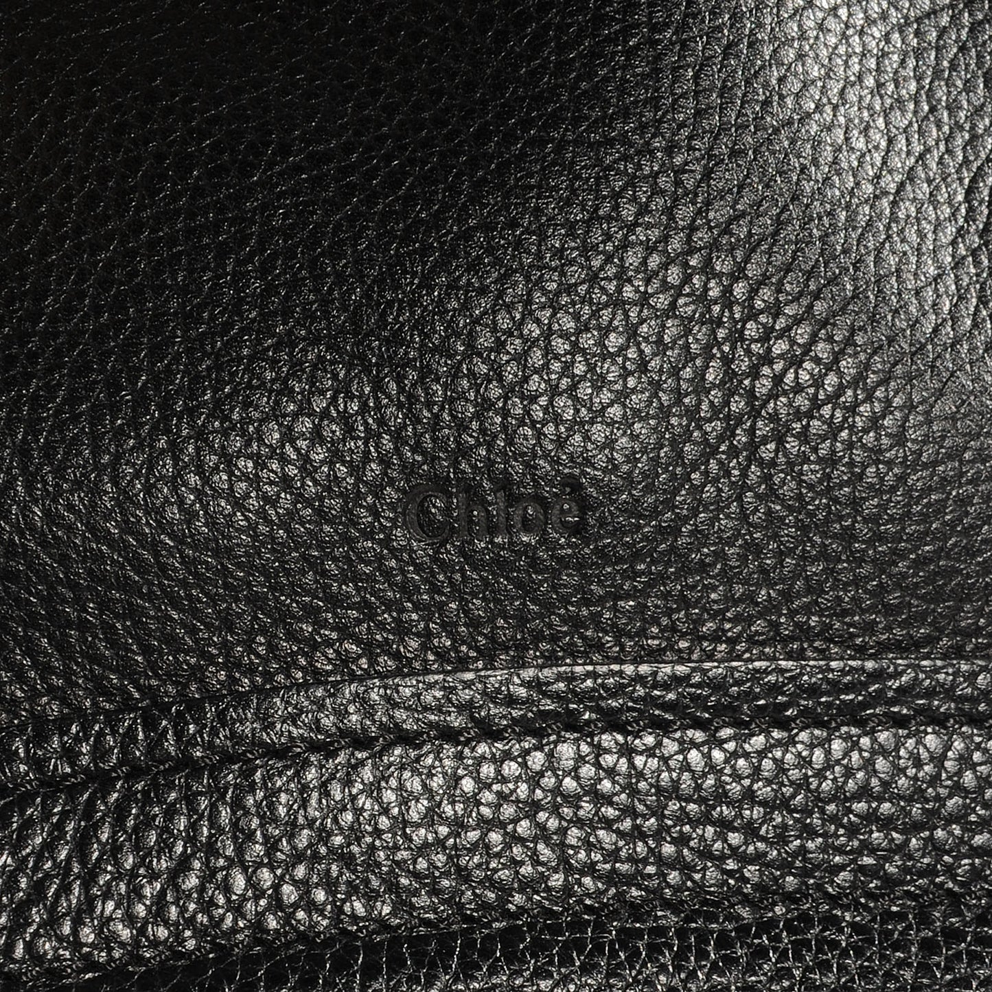 Calfskin Medium Paraty Black