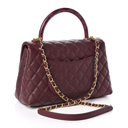 Chanel Caviar Elaphe Quilted Small Coco Handle Flap Burgundy 3 of 10