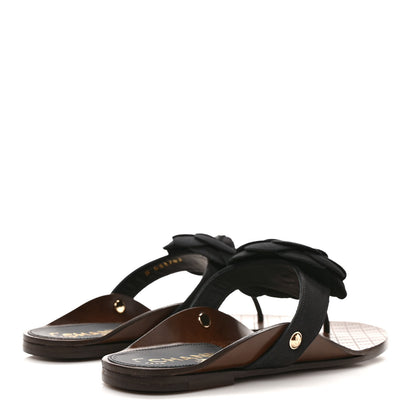 Chanel Grosgrain Camellia Thong Sandals 37 Black 4 of 8