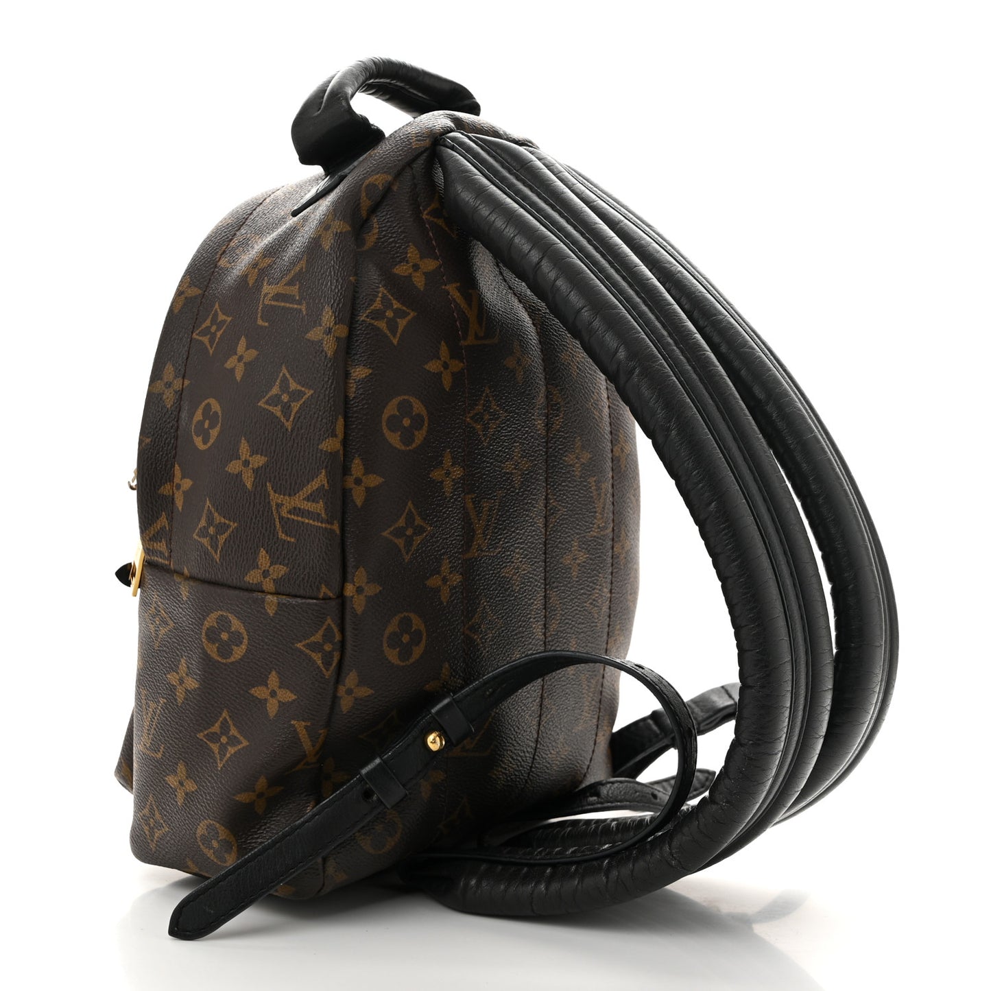Monogram Palm Springs Backpack PM