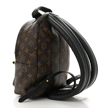 Louis Vuitton Monogram Palm Springs Backpack PM 3 of 12