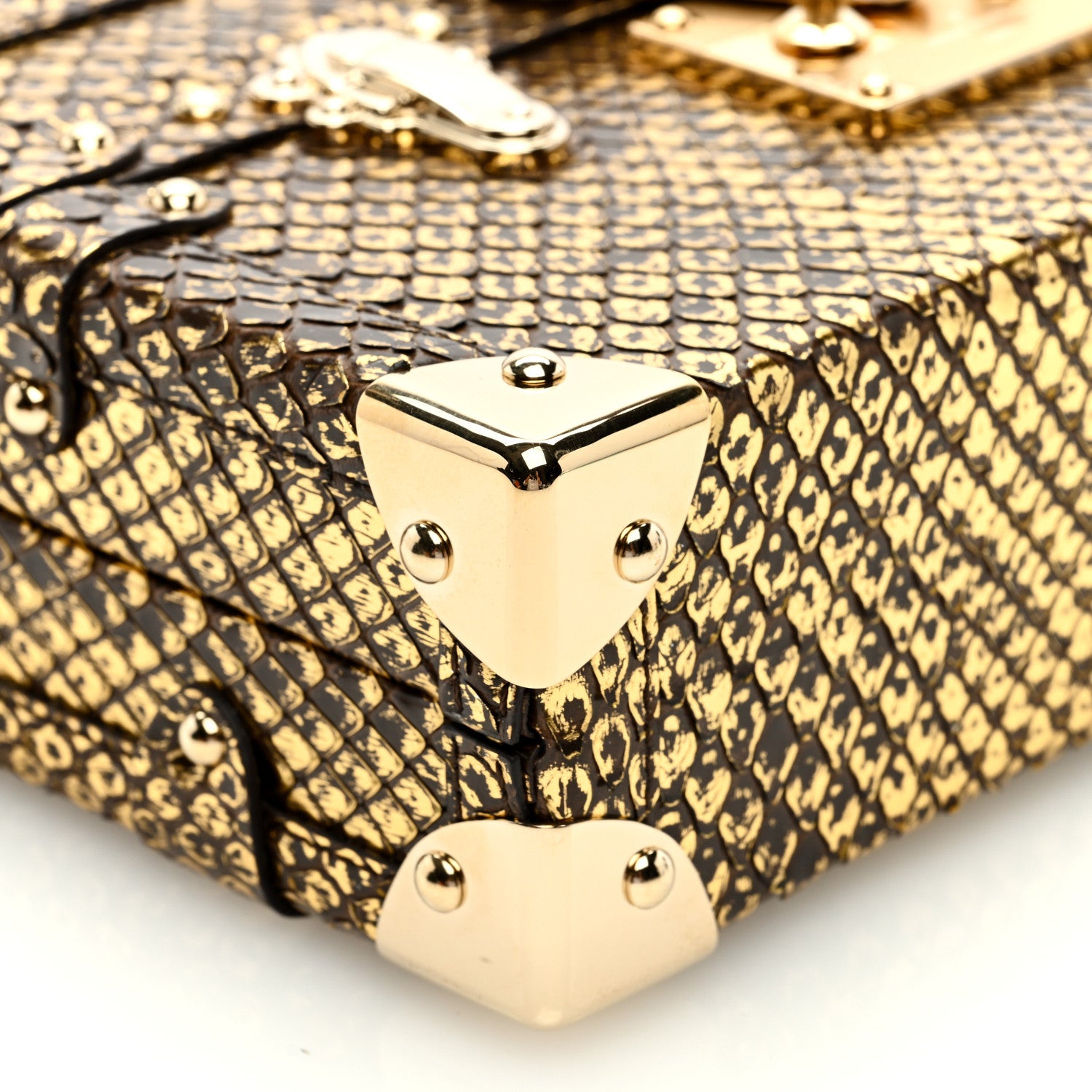 Louis Vuitton Snakeskin Petite Malle Gold 8 of 10