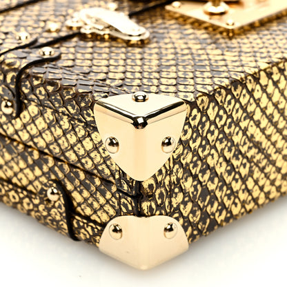 Louis Vuitton Snakeskin Petite Malle Gold 8 of 10