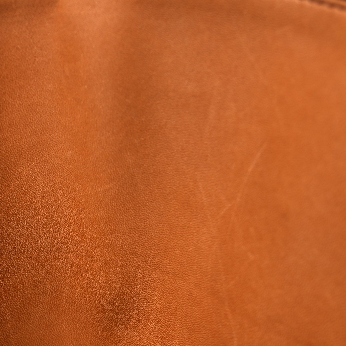 Polished Saddle Calfskin Dante Tote Black
